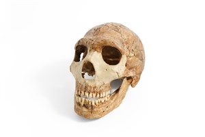 Image description is not available for 1983.24.1